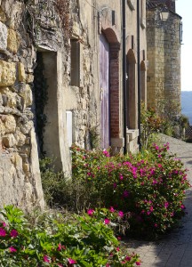 Cordes-sur-Ciel